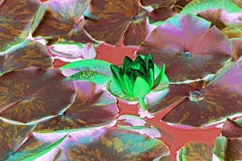 F 029C